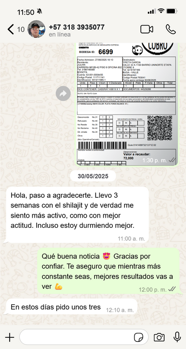 Imagen 2